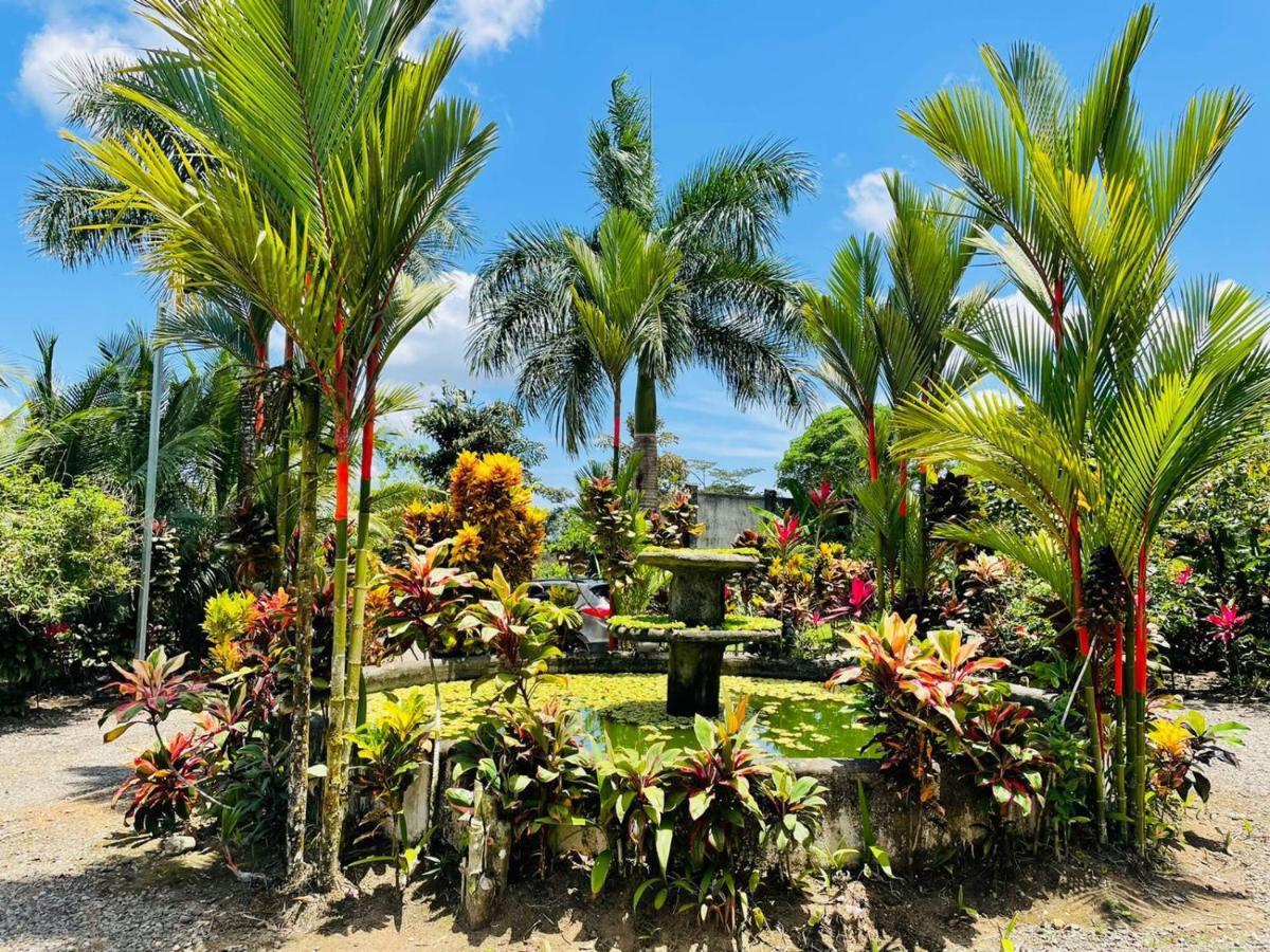 Aunty Arenal Lodge La Fortuna Eksteriør bilde